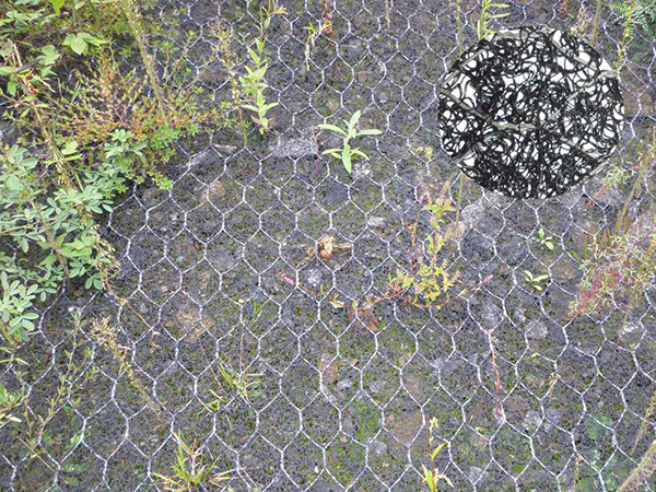 加筋麥克墊圖片2