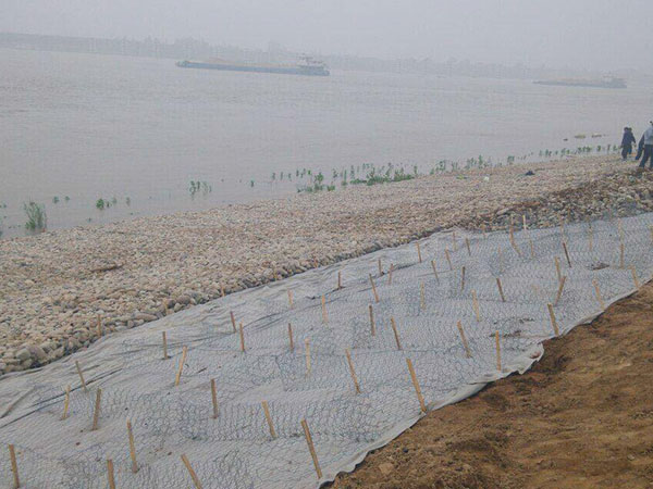 鍍高爾凡雷諾護(hù)墊圖片3